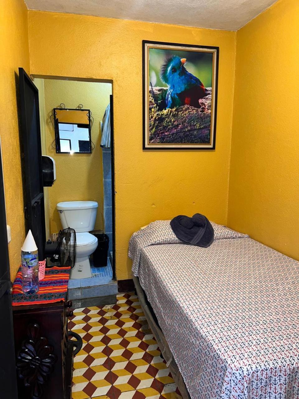 Hotel Alma Maya Antigua Екстериор снимка